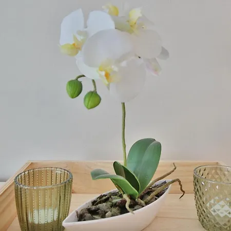 Seebruecke Seebruecke 13 Lejlighed Scharbeutz